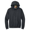 Heavy Blend  Hooded Sweatshirt Thumbnail