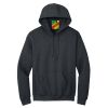 Heavy Blend  Hooded Sweatshirt Thumbnail