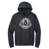 Heavy Blend  Hooded Sweatshirt Thumbnail