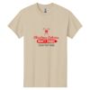 Heavy Cotton 100% Cotton T Shirt Thumbnail