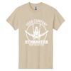 Heavy Cotton 100% Cotton T Shirt Thumbnail